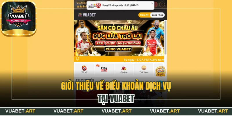 Giới thiệu về điều khoản dịch vụ tại Vuabet