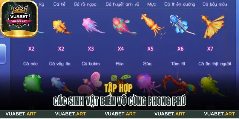 Tập hợp các sinh vật biển vô cùng phong phú